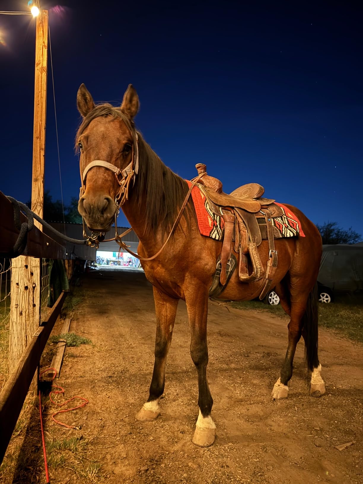 Tough 1 Pachanga Contour Wool Saddle Pad customer photo 1