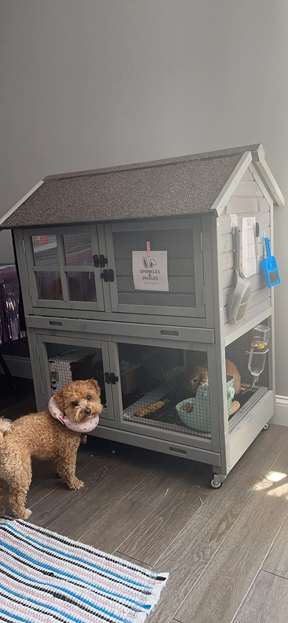 Aivituvin [Upgrade Version] Rabbit Hutch Bunny Hutch, Rabbit Cage with Two No Leak Trays, Indoor & Outdoor Waterproof Cage for Bunny, Upgraded Bottom Wire Netting,Grey,Large, Camel customer photo 1