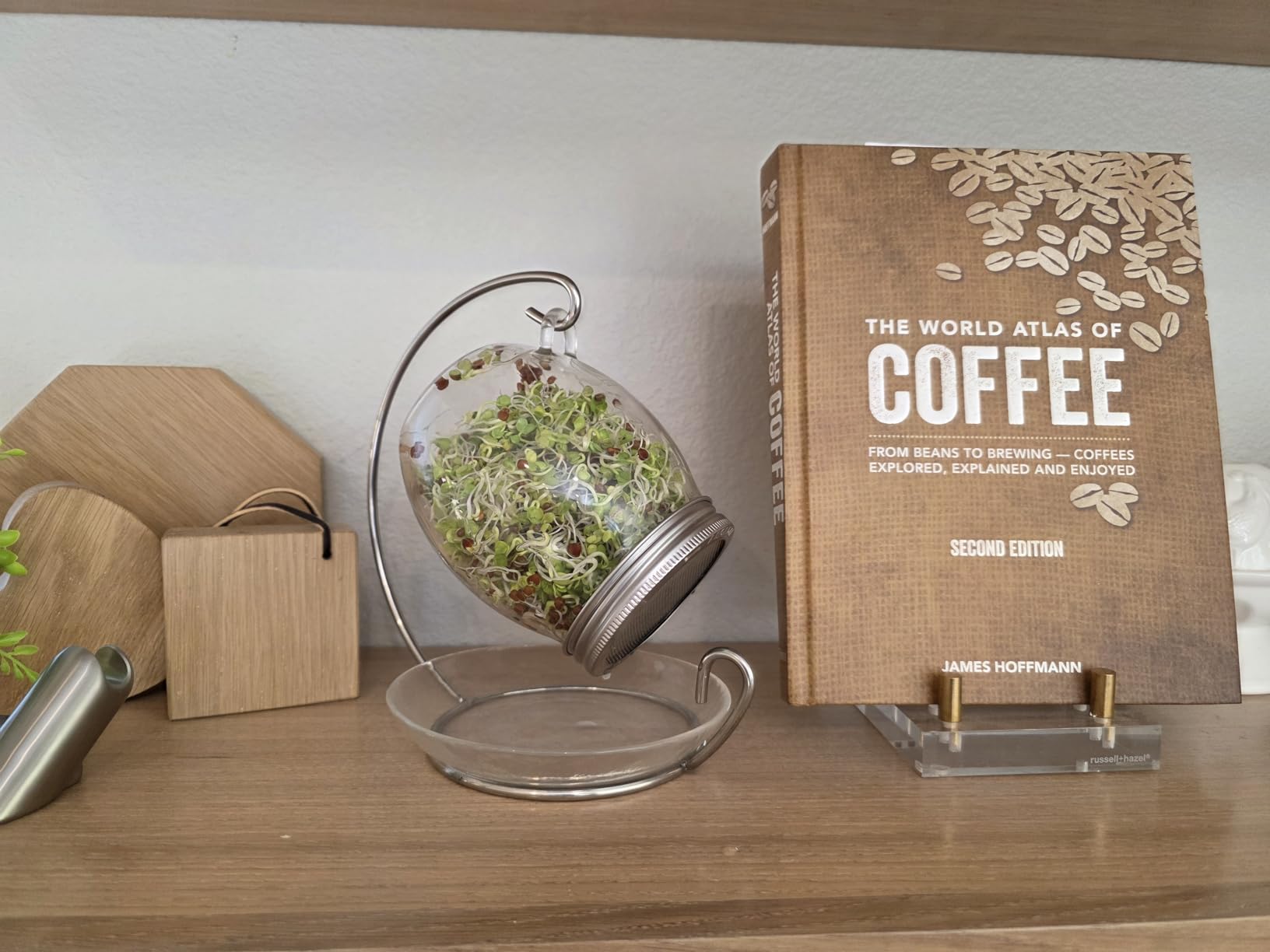 Premium Sprouting Jar Kit - Unique 30 oz Wide Mouth Sprouting Jar, Stand, Tray and 316 Stainless Screen Lid | Decorative Indoor Seed Sprouter and Germinator (1 Kit) customer photo 1