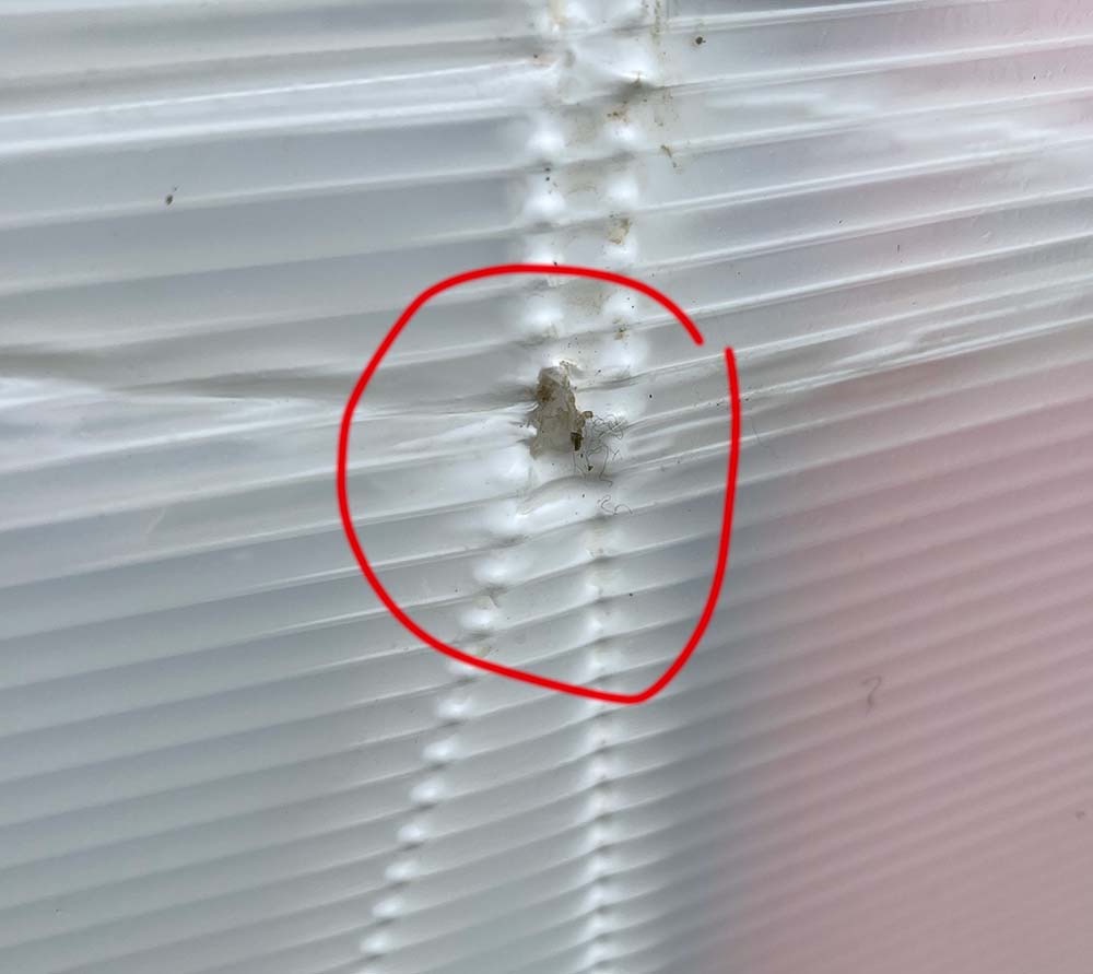 Oru Coast Foldable Kayak | Stable, Durable, Lightweight - Lake, River, and Ocean Kayaks - Advanced customer photo 2