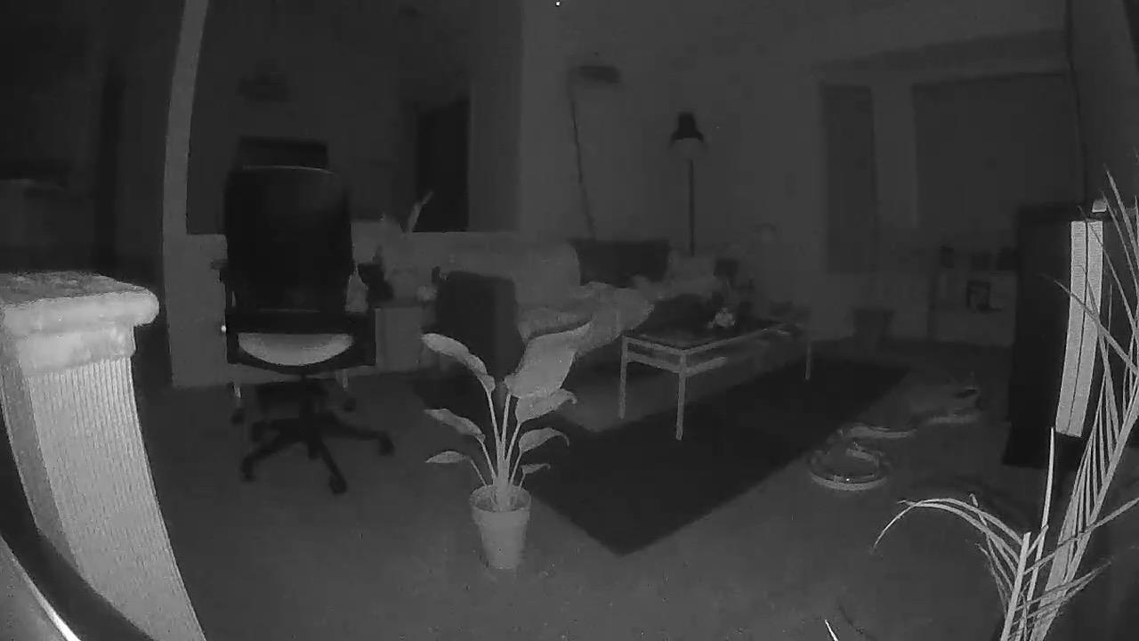 Petcube Play 2 Wi-Fi Pet Camera with Laser Toy for Cats & Dogs, 1080P HD Video, 160° Full-Room View, 2-Way Audio, Sound/Motion Alerts, Night Vision, Pet Monitoring App customer photo 1