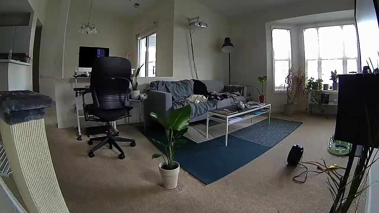 Petcube Play 2 Wi-Fi Pet Camera with Laser Toy for Cats & Dogs, 1080P HD Video, 160° Full-Room View, 2-Way Audio, Sound/Motion Alerts, Night Vision, Pet Monitoring App customer photo 2