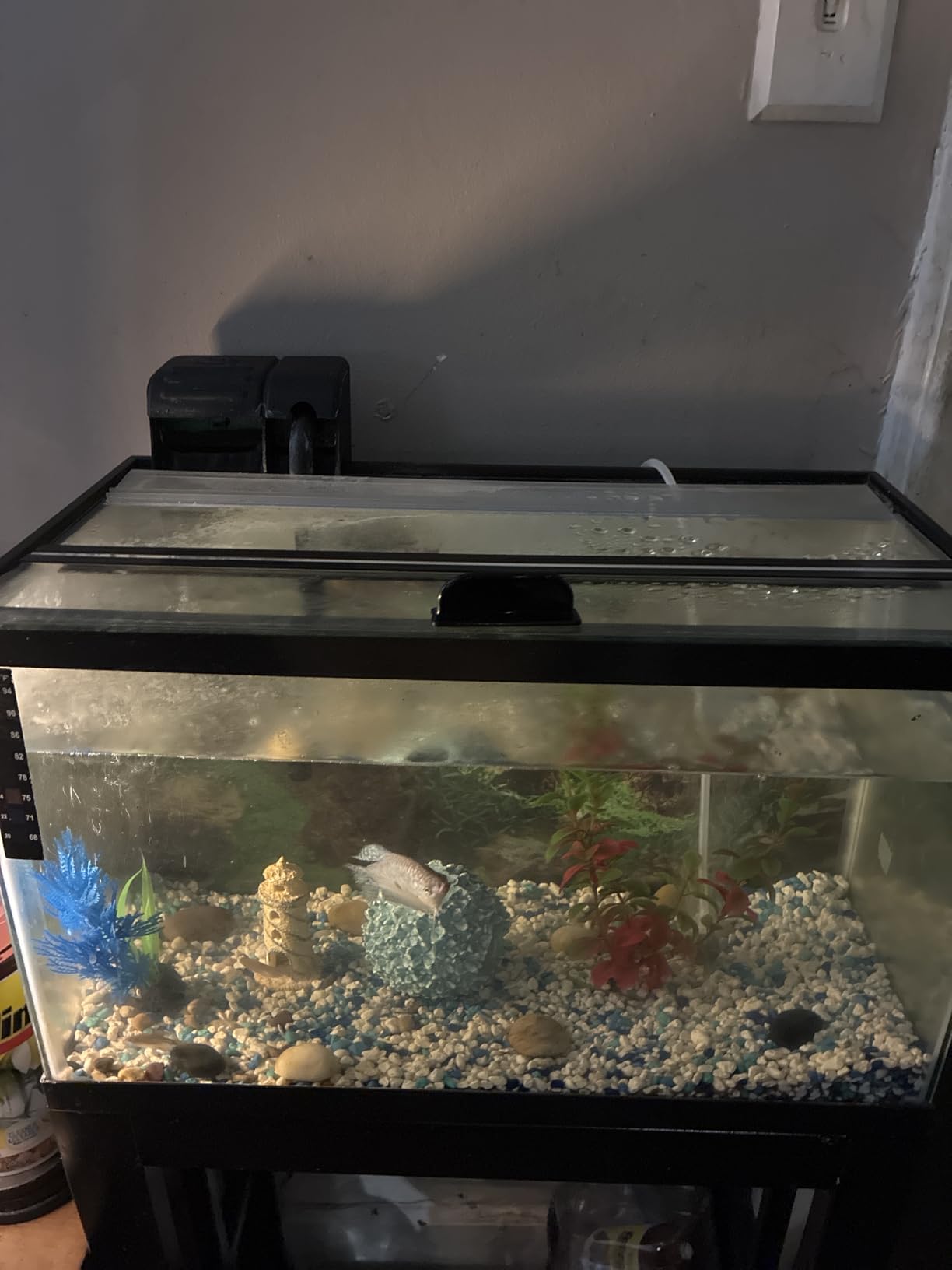 HITOP Dual Outlet Aquarium Electric Air Pump, Whisper Adjustable Fish Tank Aerator, Quiet Oxygen Pump with Accessories for 20 to 100 Gallon customer photo 2