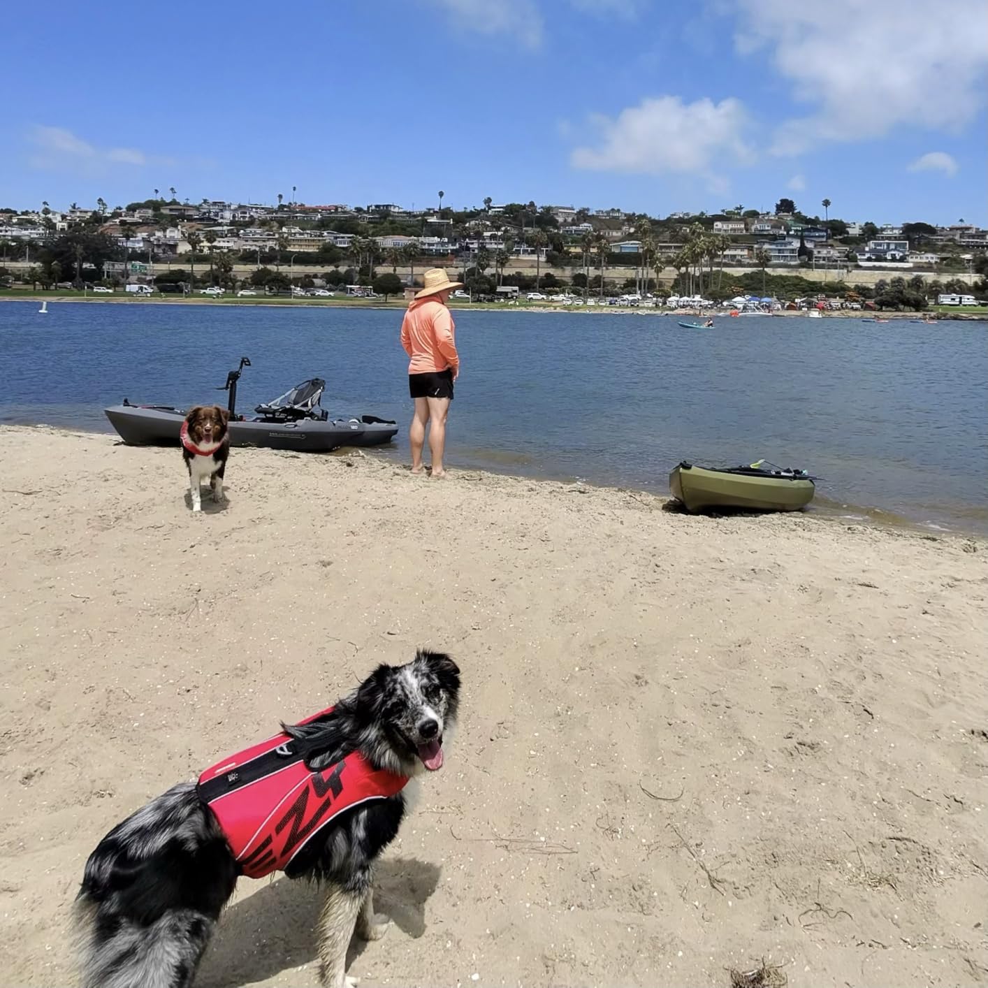 EzyDog DFD X2 Dog Life Jacket, Grab Handle, Reflective Trim - Medium Yellow | Adjustable Dog Life Vest For Swimming, Durable Nylon Outer, Secure Fit, Lightweight, Ultra Buoyant Foam, Reinforced Stitching customer photo 2