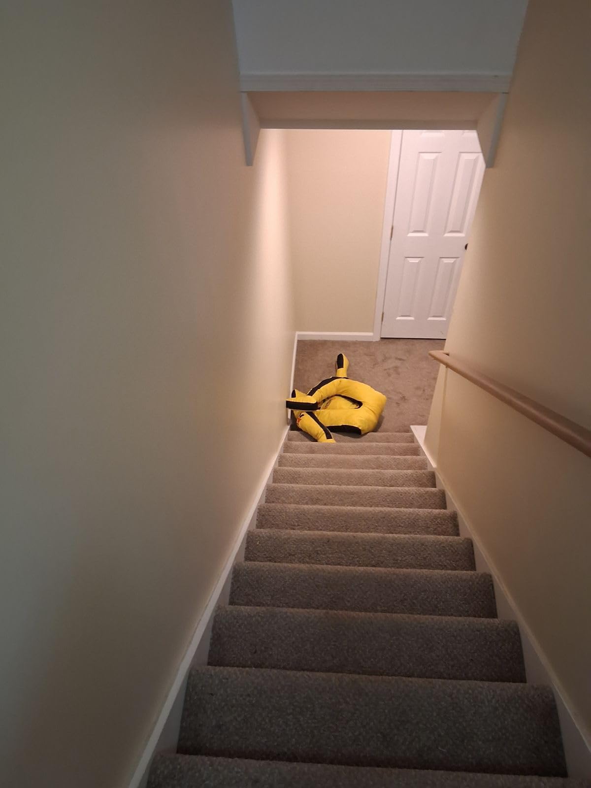 Un-Filled Grappling Dummy Wrestling Dummy Jiu Jitsu Dummy for BJJ MMA Judo Karate Practice Adult Kids customer photo 1