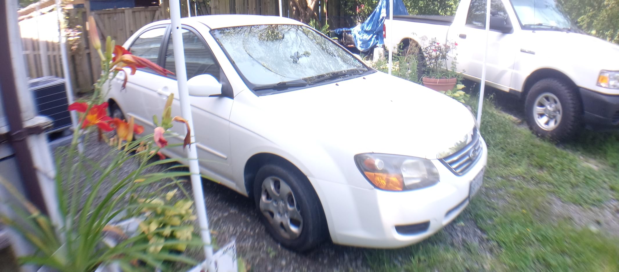 Godefa Phone Camera Lens Kit, 14 in 1 Lenses with Selfie Light for iPhone 14 13 12 11 Xs X Pro Samsung and Other Andriod Smartphone, Universal Clip on Wide Angle+Macro+ Fisheye Camera Lenses customer photo 1