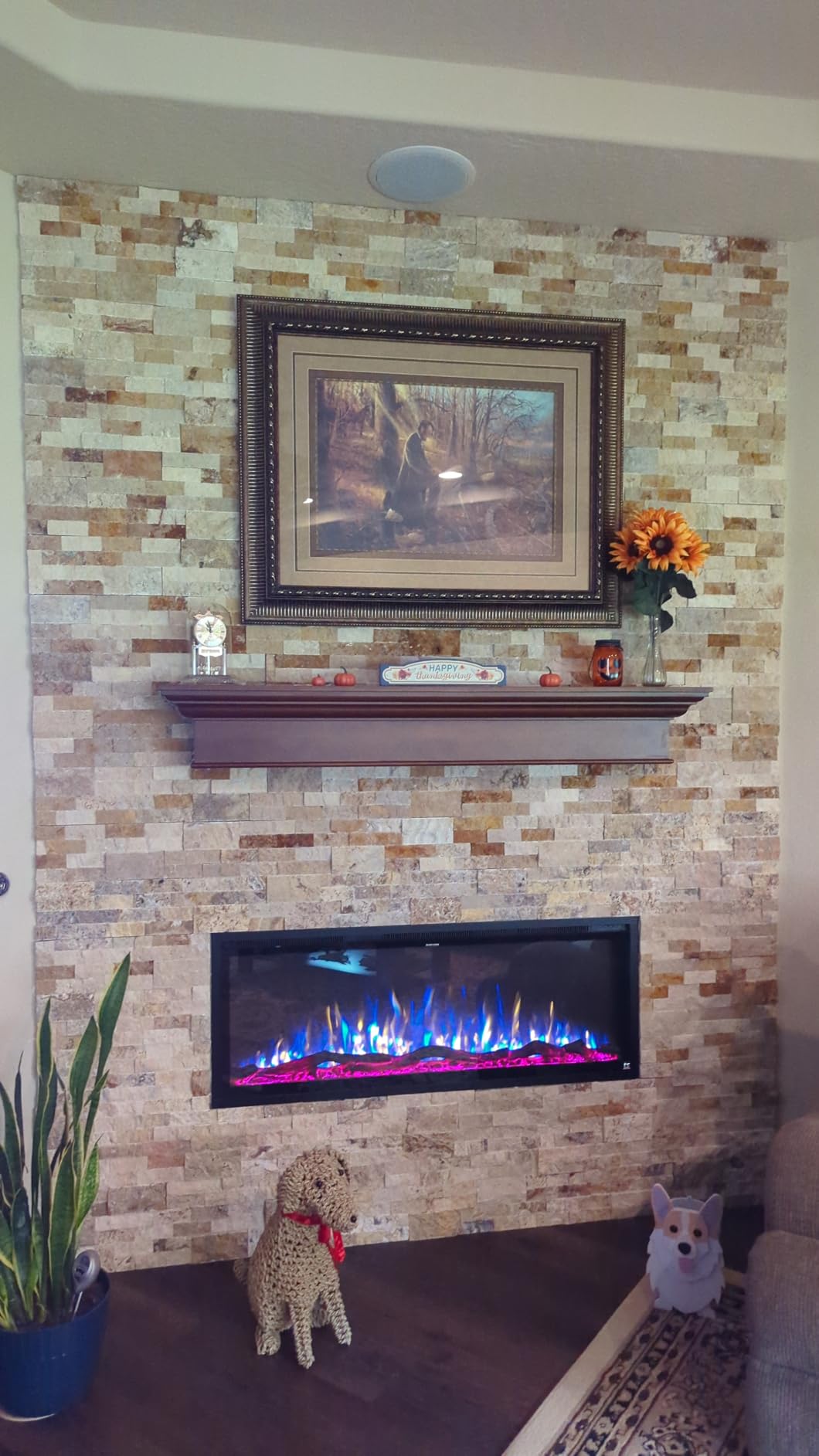 Touchstone Sideline Elite Smart 72