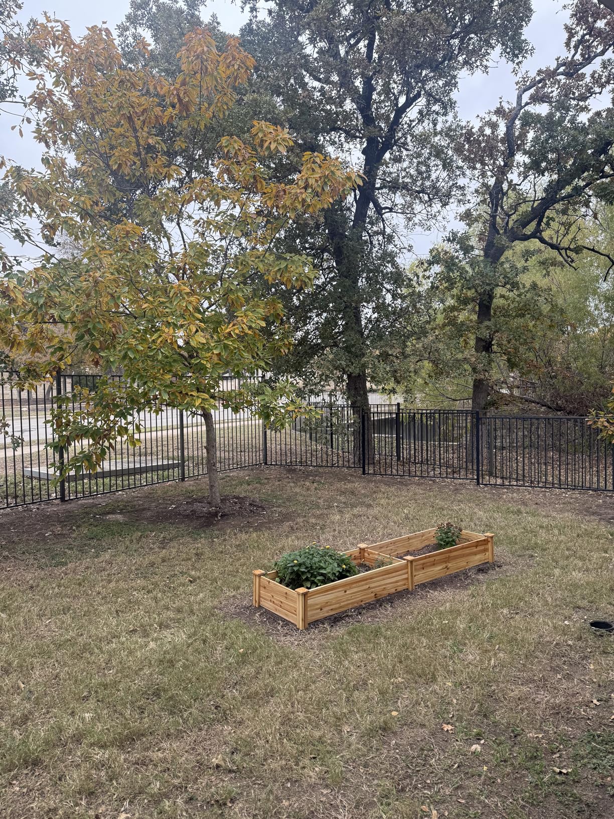 Yaheetech 8x2ft Wooden Horticulture Raised Garden Bed Divisible Elevated Planting Planter Box for Flowers/Vegetables/Herbs in Backyard/Patio Outdoor, Natural Wood, 95 x 25 x 11in customer photo 1