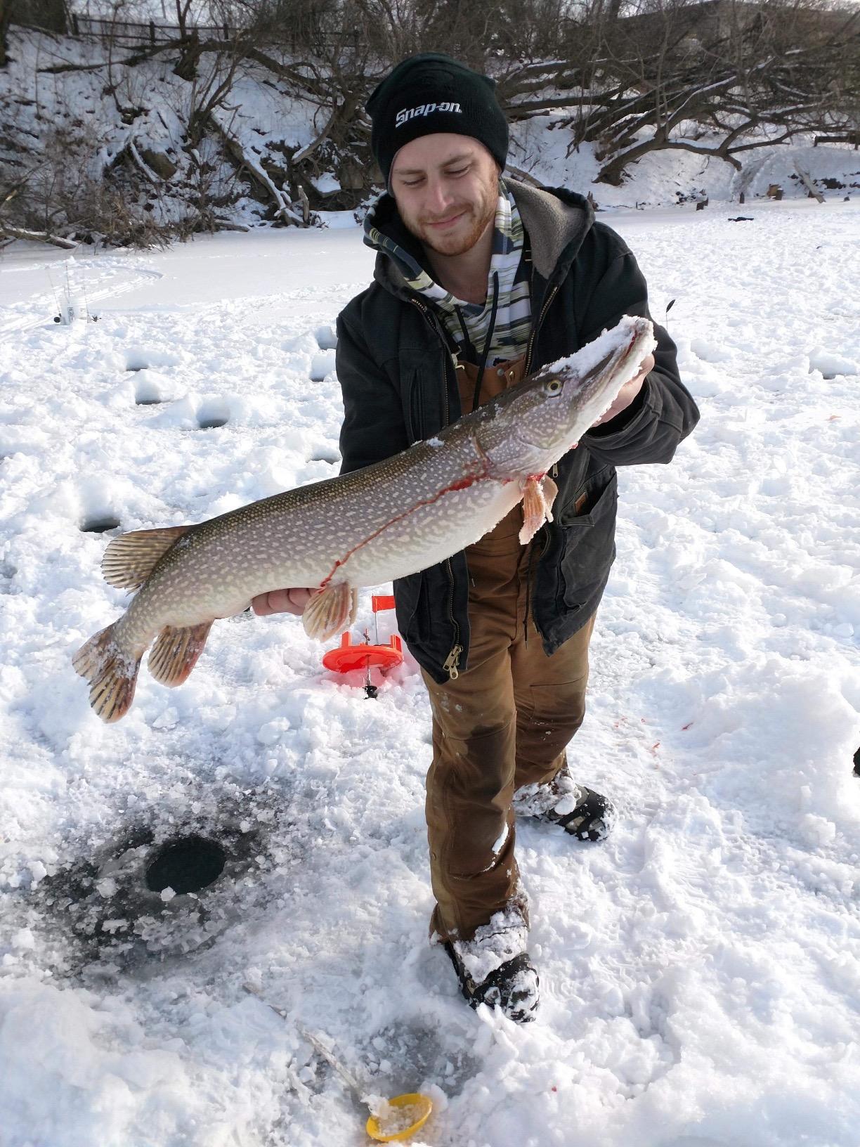 LaCrosse Alphaburly Pro 18