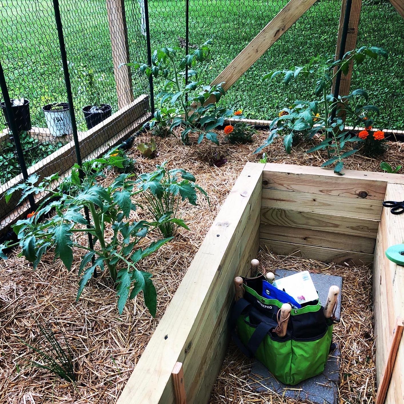 WORKPRO Garden Tools Set, 8 Piece, Stainless Steel Heavy Duty Gardening Tools with Wooden Handle, Including Garden Tote, Gloves, Trowel, Hand Weeder, Cultivator and More-Gardening Gifts For Women Men customer photo 1