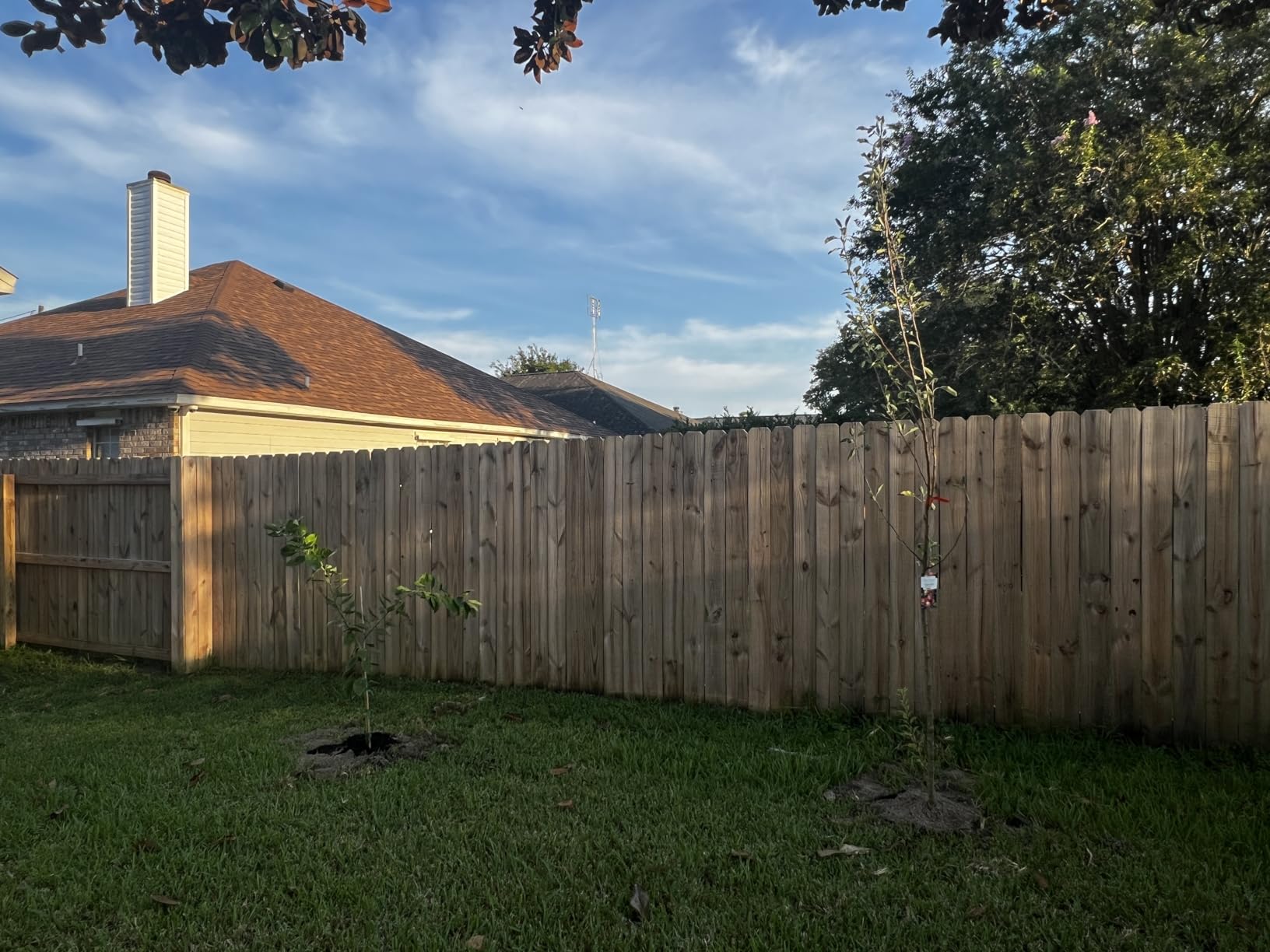 TCBWFY Auger Drill Bit for Planting 1.6x16.5inch Extended Length Garden Auger Spiral Drill Bit for Planting Bulbs Flowers,Post Hole Digger for 3/8