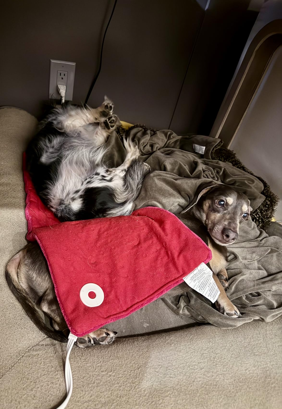 GENIANI Electric Heating Pad for Back Pain & Cramps Relief, Electric Throw, Auto Shut Off, Machine Washable, Heating Pad for Neck & Shoulder (12x24