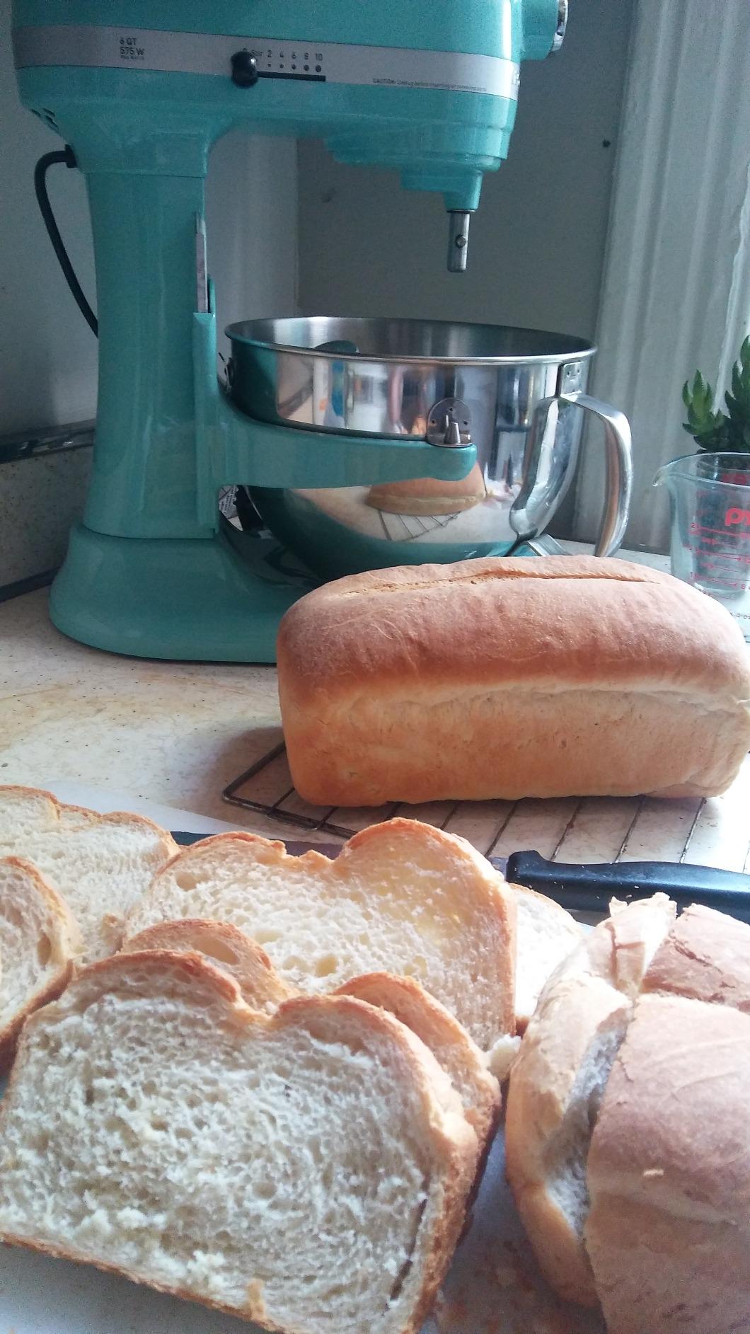 KitchenAid Professional 600 Series 6 Quart Bowl-Lift Stand Mixer, Bird of Paradise (Renewed) customer photo 2