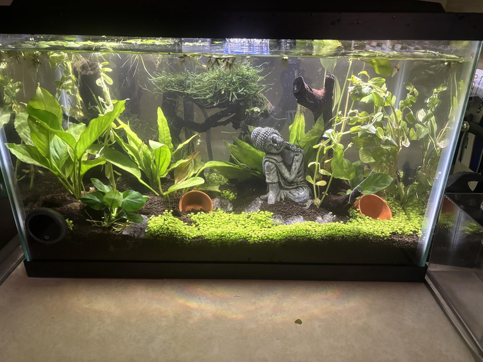 LANDEN Aqua Soil Substrate 5L(10lbs) for Natural Planted Aquarium, Plant or Shrimp Stratum, Clay Gravel and Stable Porous Substrate for Freshwater Aquarium, Black Color customer photo 2