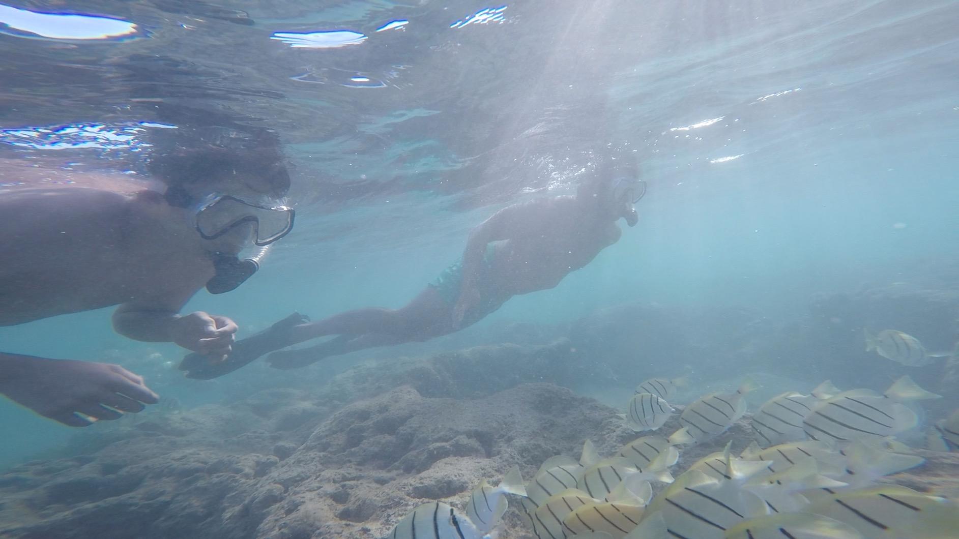 ZEEPORTE Mask Fin Snorkel Set, Travel Size Snorkeling Gear for Adults with Panoramic View Anti-Fog Mask, Trek Fins, Dry Top Snorkel and Gear Bag for Swimming Training, Snorkeling Kit Diving Packages customer photo 2