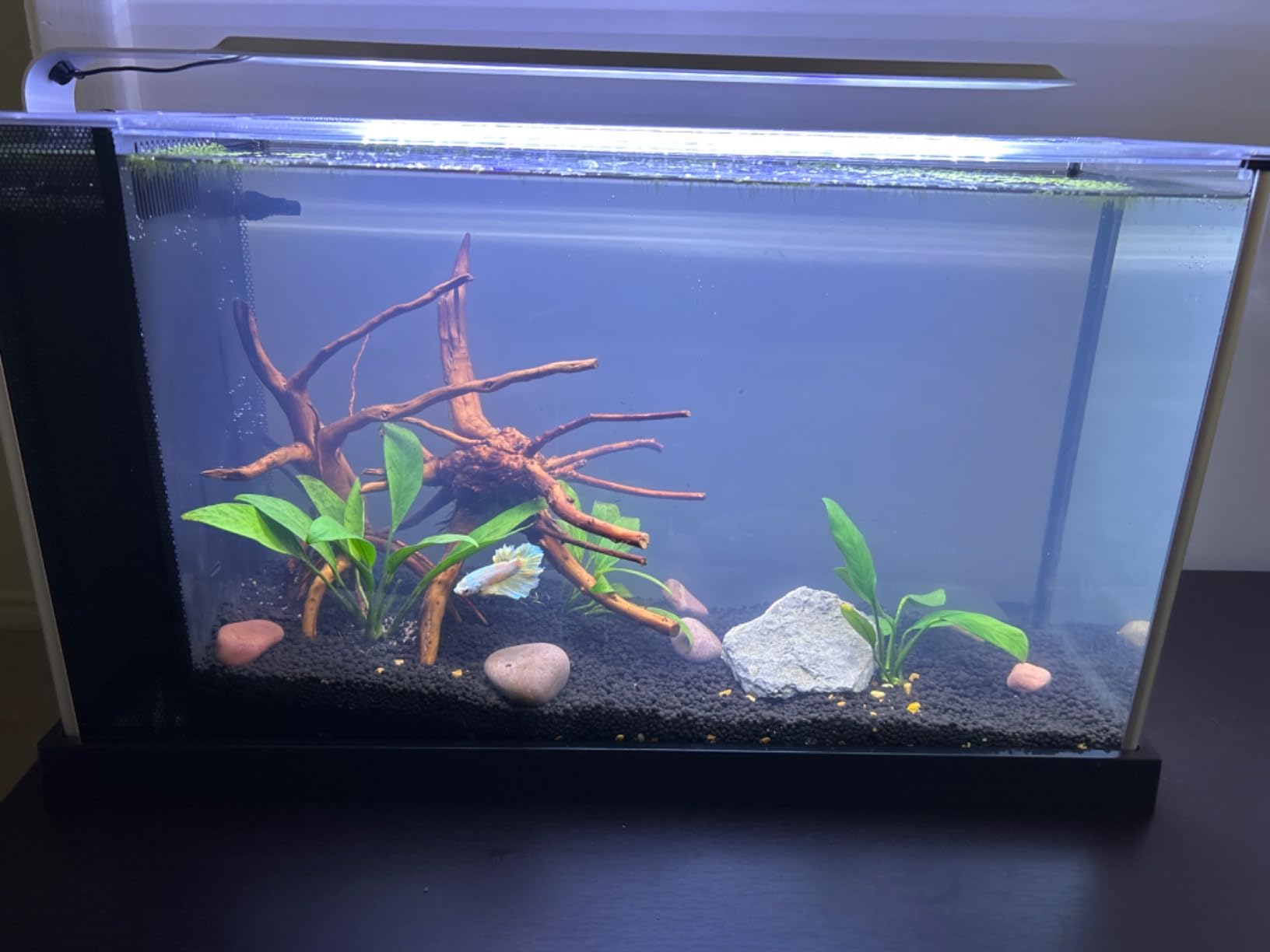 Aquarium Aquascape Tools Kit, 4 in 1 Anti-Rust Aquatic Plant Aquascaping Tool Stainless Steel Black Tweezers Scissors Spatula for Aquarium Tank Clean Fish Tank Aquascape Tools Sets (Black) customer photo 2