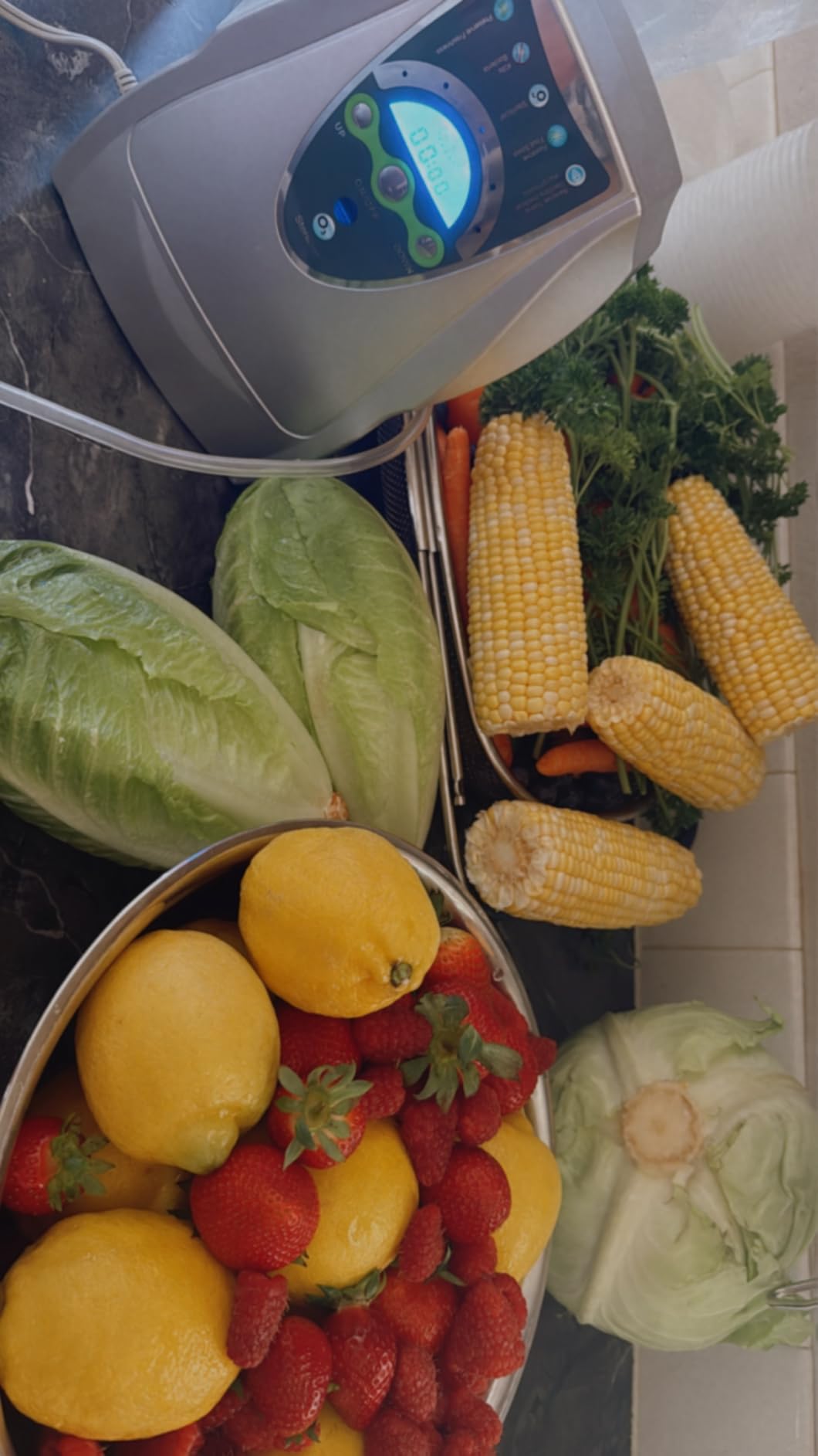 VTAR Ozone Machine, 500mg/h Multipurpose Ozone Machine Purify Air, Water, Fruits, Vegetables, Toothbrushes, Aquarium. Fruit Cleaner Device in Water customer photo 1