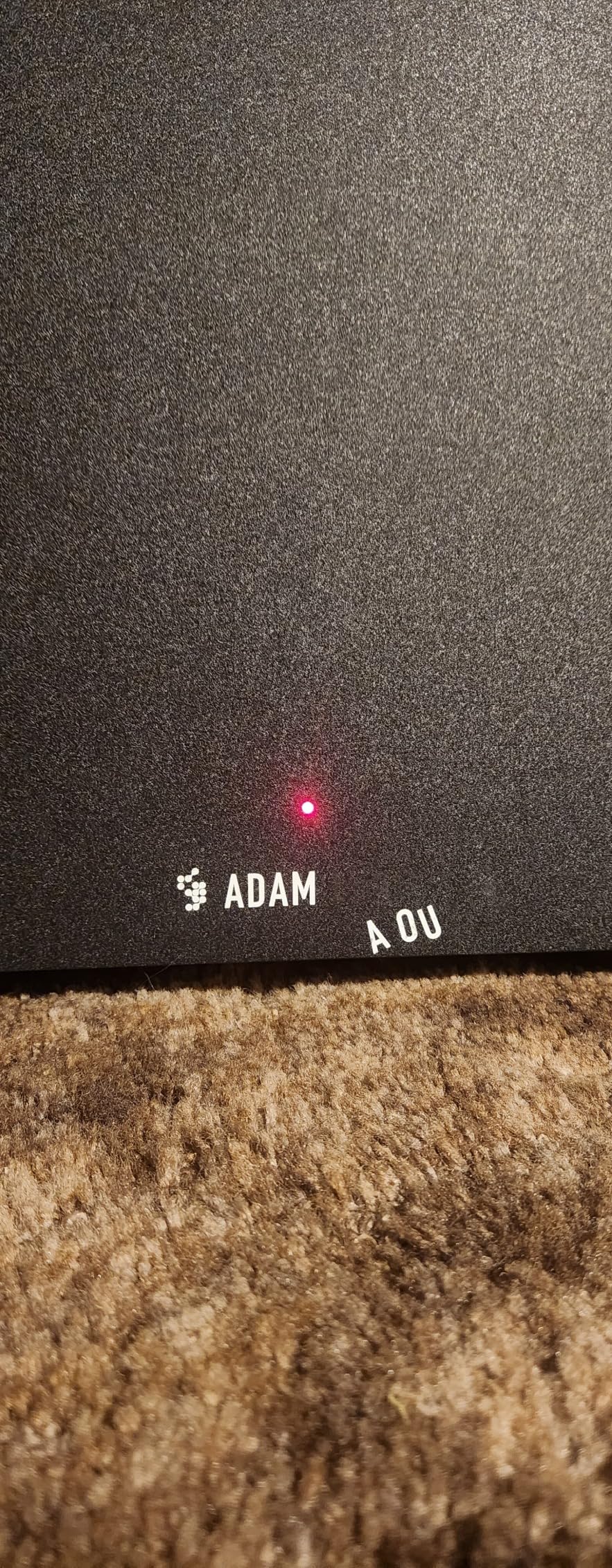 ADAM Audio T10S Studio Subwoofer for Recording, Mixing and Mastering customer photo 2