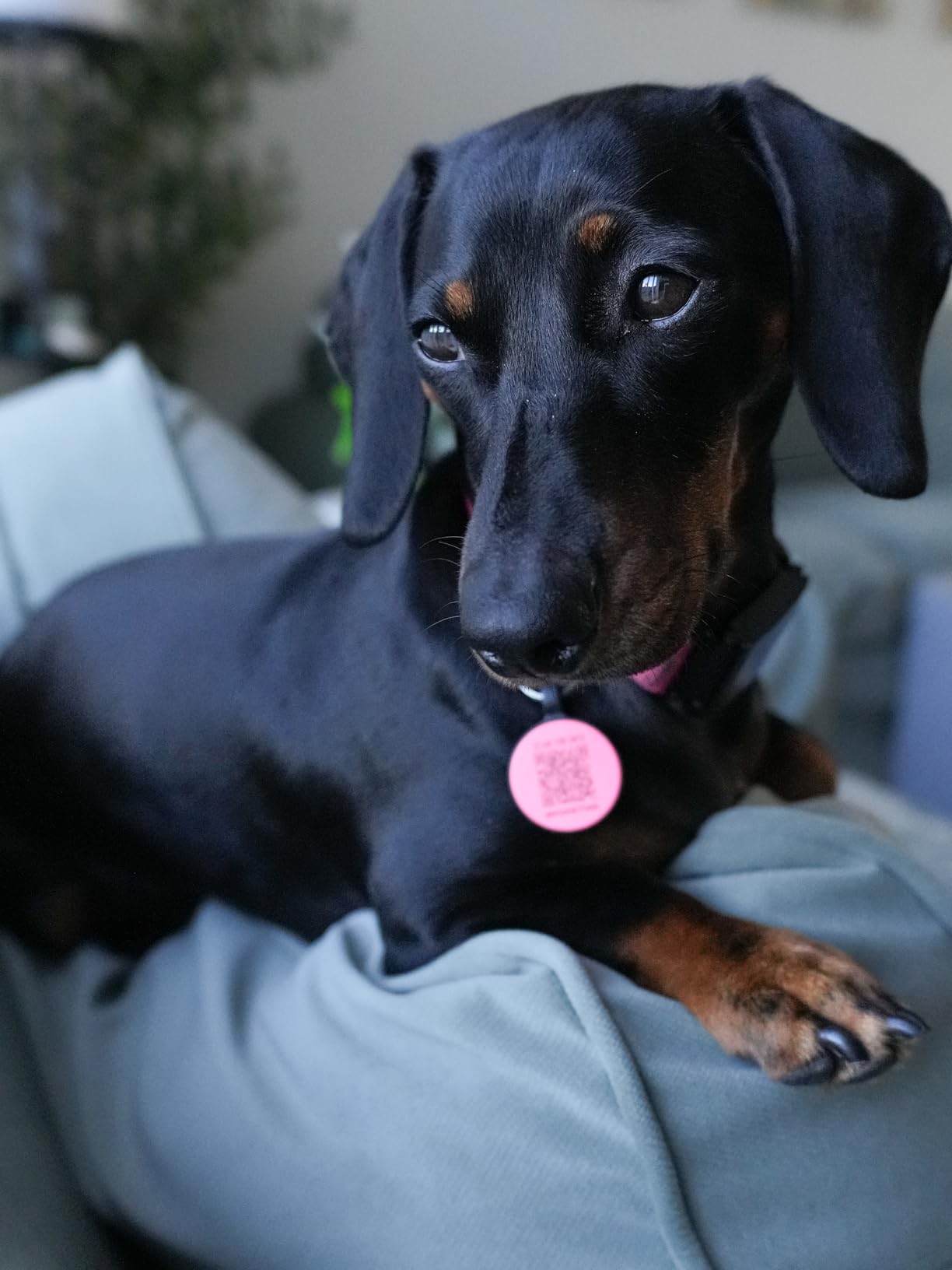 VILTROX 85mm F1.8 Auto Focus Lens for Sony E Mount customer photo 1