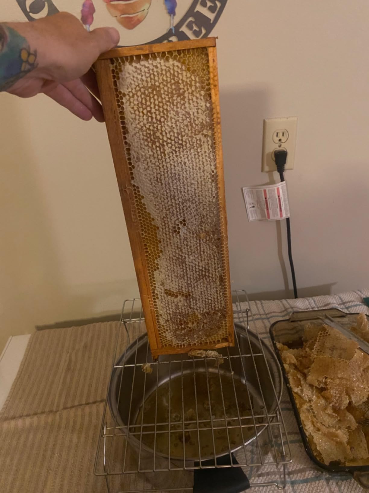 VINGLI Upgraded Electric 4 Frame Honey Extractor, Stainless Steel Honeycomb Spinner Drum with Adjustable Height Stands, Beekeeping Pro Apiary Centrifuge Equipment customer photo 1