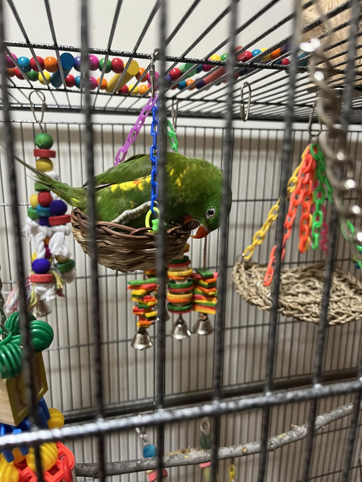 Topeakmart Wrought Iron Large Flight Parrot Bird Cage with Rolling Stand for Multiple Parakeets Conure Cockatiel Cage customer photo 1