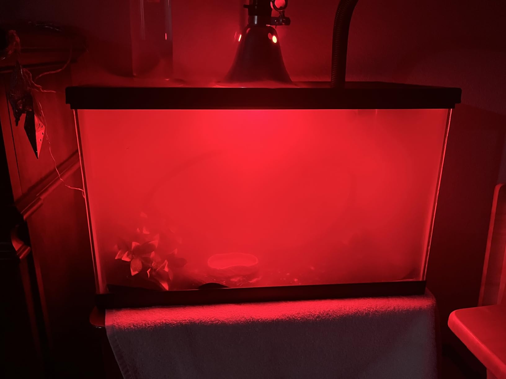 REPTI ZOO 4L Reptile Fogger Mister Tank, Terrariums Digital Tank Timing Humidifier Smart Touch Screen Adjustable Fogger for Reptiles Amphibians Herps customer photo 1