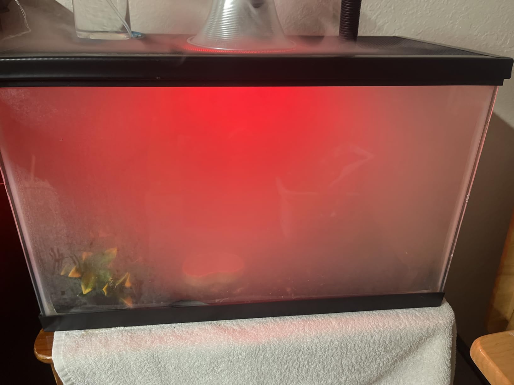 REPTI ZOO 4L Reptile Fogger Mister Tank, Terrariums Digital Tank Timing Humidifier Smart Touch Screen Adjustable Fogger for Reptiles Amphibians Herps customer photo 2