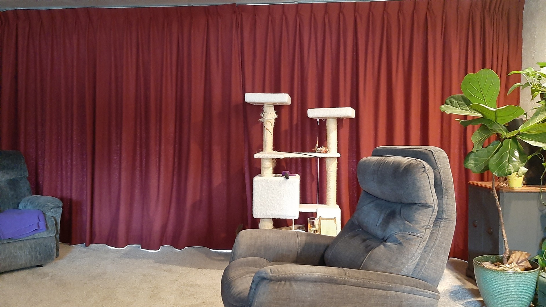 Quoya QL500 Smart Curtains System, Electric Curtain Track with Automated Rail (Motorized and Adjustable Tracks/Rod/Pole up to 3.2 metres / 125 inches) (Motor compatible with Alexa) customer photo 2