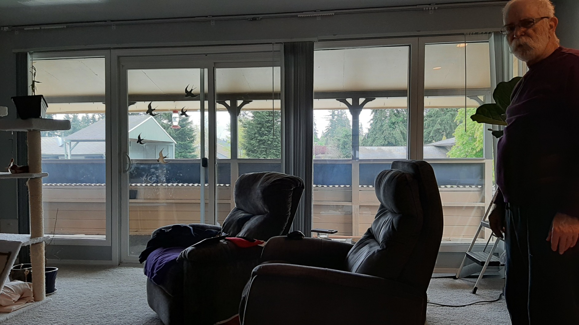 Quoya QL500 Smart Curtains System, Electric Curtain Track with Automated Rail, Motorized and Adjustable Tracks/Rod/Pole, Motor compatible with Alexa, Google, Siri (up to 196 inches / 5 metres) customer photo 2