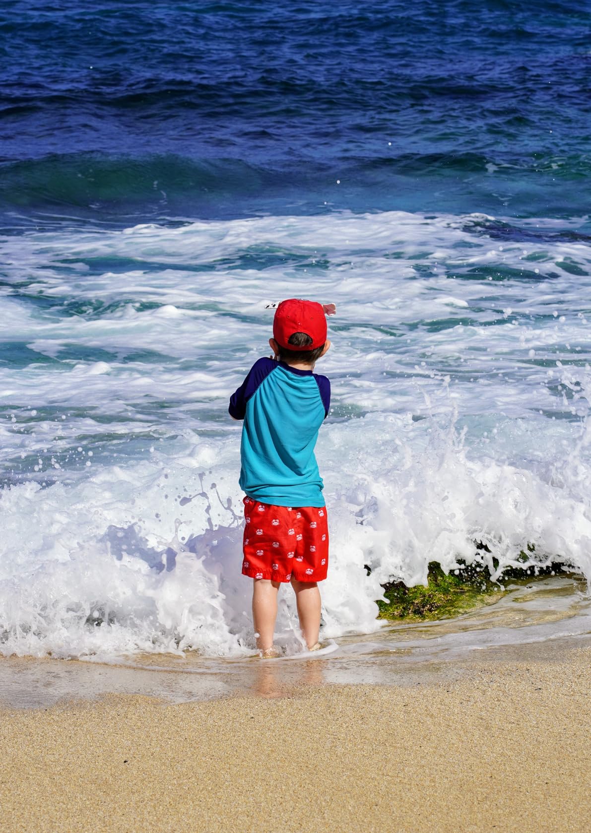 Sony SEL85F18 85mm F1.8 Medium-Telephoto Prime Lens customer photo 1