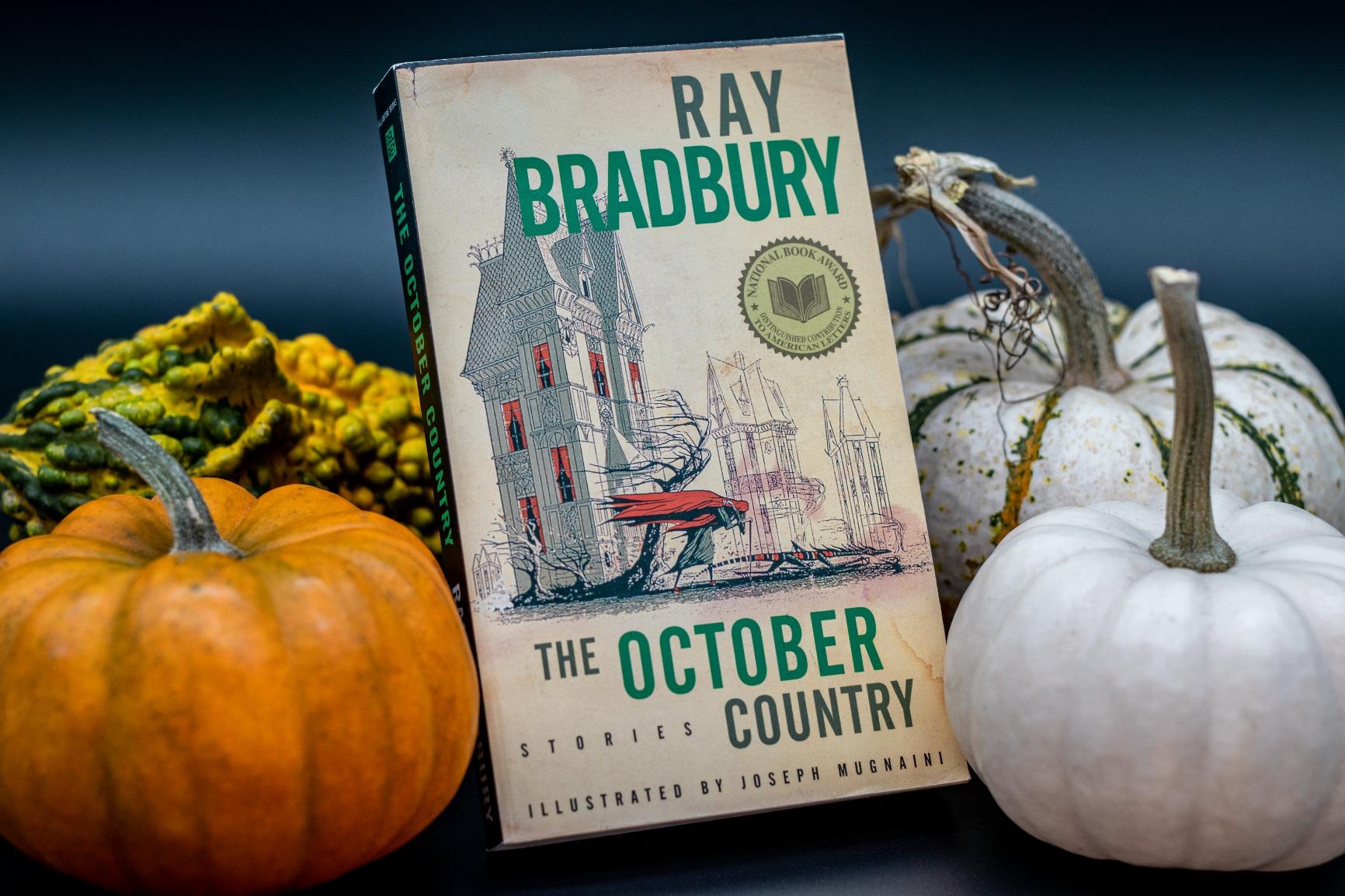 Lume Cube 2.0 Portable App-Controlled Waterproof LED Cube Light with DSLR Shoe Mount | Waterproof, Adjustable Brightness, Indoor Studio & Outdoor Use, for Photo and Video customer photo 2