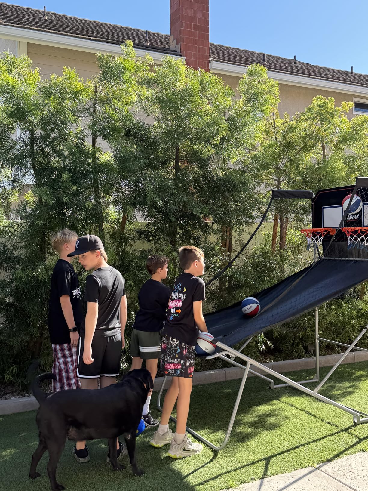 Pop-A-Shot - Dual Shot Sport | Arcade Basketball Game for Home | Paddle Scoring Hoop, 10 Game Modes, 4 Balls | Foldable for Easy Storage | Fun for All Players customer photo 1