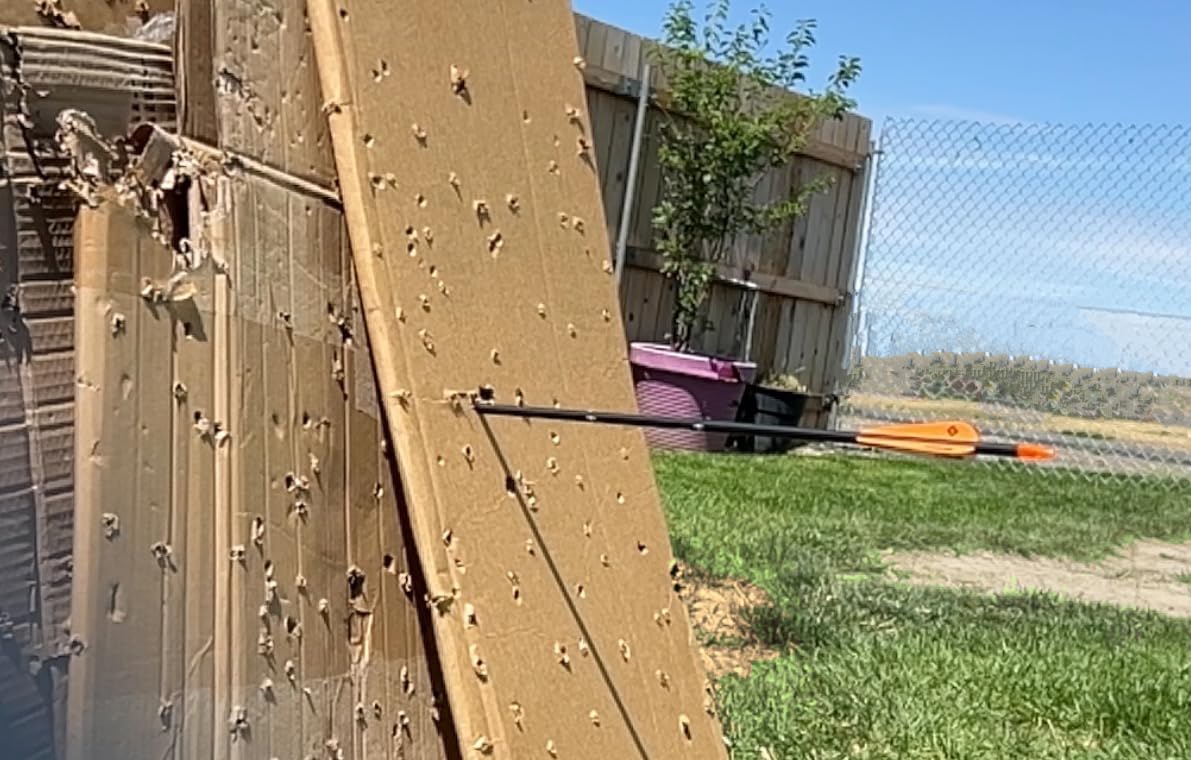 30Inch Carbon Arrow Practice Hunting Arrows with Removable Tips for Compound & Recurve Bow (Pack of 12) customer photo 2