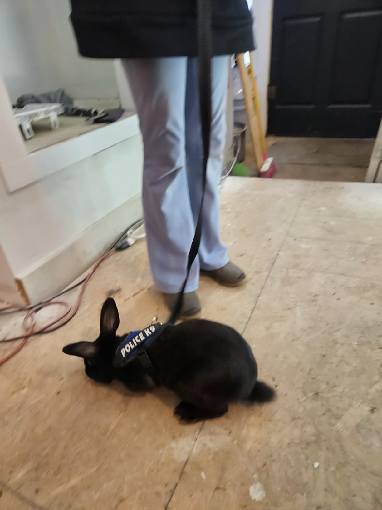 Vehomy Rabbit Harness with Leash for Bunny Rabbits Cats Small Animals customer photo 2