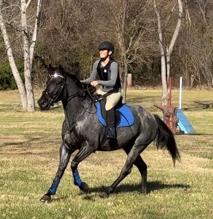 Horse Riding Safety Eventing Equestrian Protective for Adults Boys and Girls, Equine Equestrian Equipment Supplies, Black customer photo 1