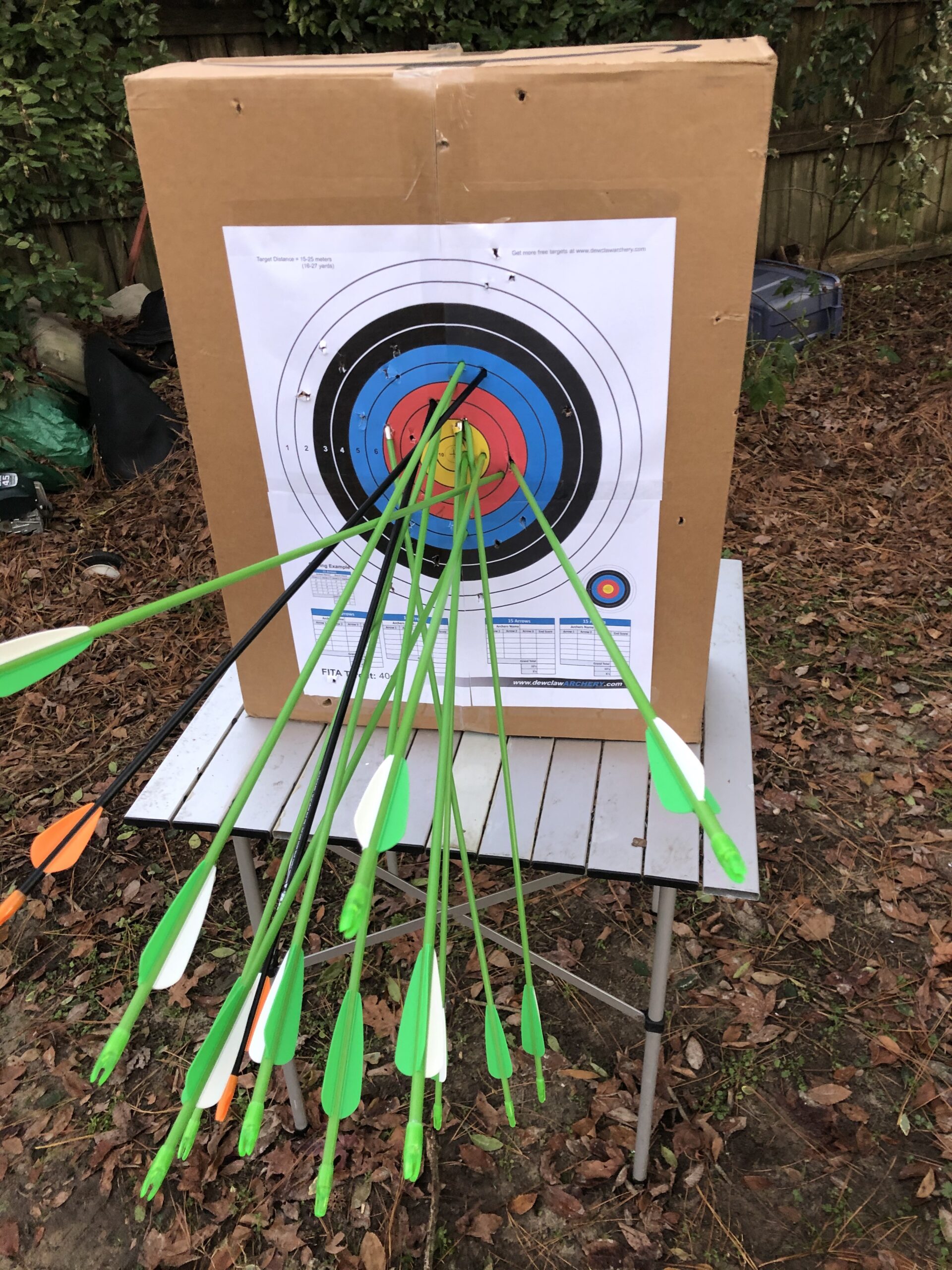 Bear Archery Apprentice Bow Set customer photo 2