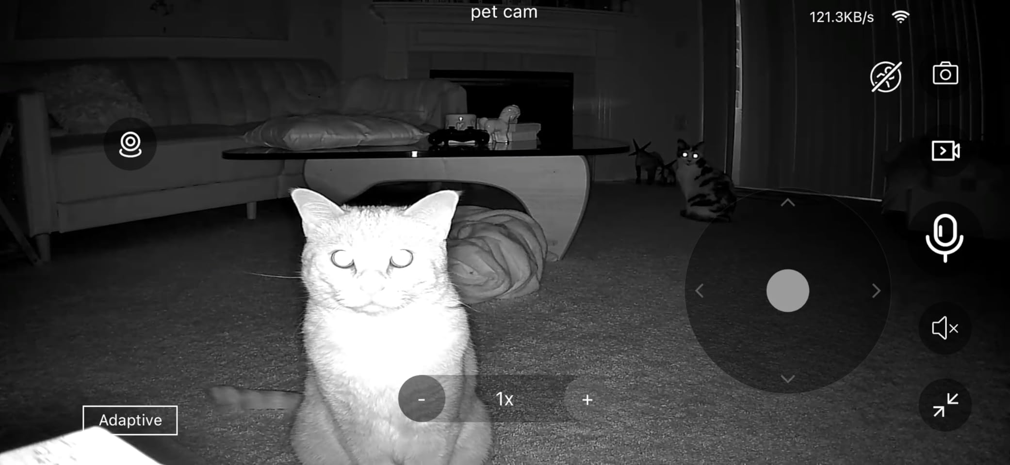 VSTARCAM Pet Camera with Laser, 3MP 2.4GHz WiFi Interactive Dog & Cat Laser Toy with Night Vision, Motion Detection Alerts, APP Remote Control Indoor Security Camera for Pet Monitoring customer photo 1
