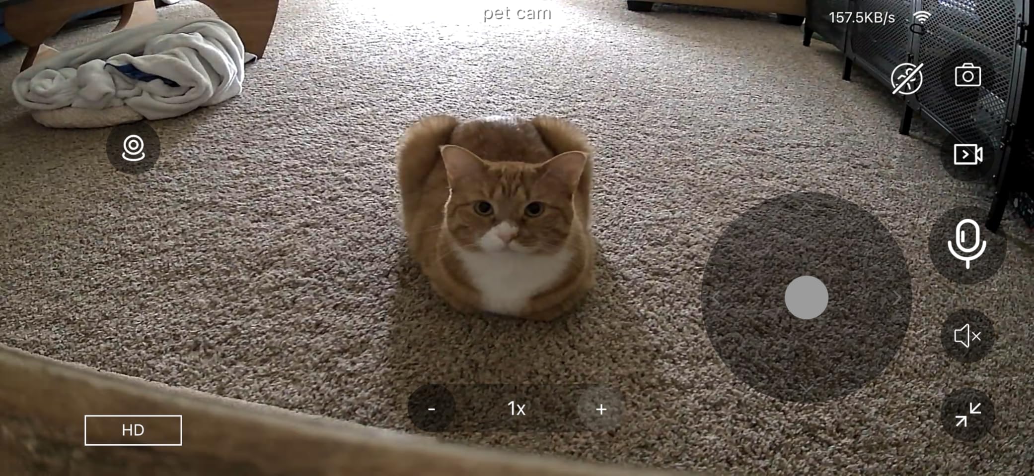 VSTARCAM Pet Camera with Laser, 3MP 2.4GHz WiFi Interactive Dog & Cat Laser Toy with Night Vision, Motion Detection Alerts, APP Remote Control Indoor Security Camera for Pet Monitoring customer photo 2