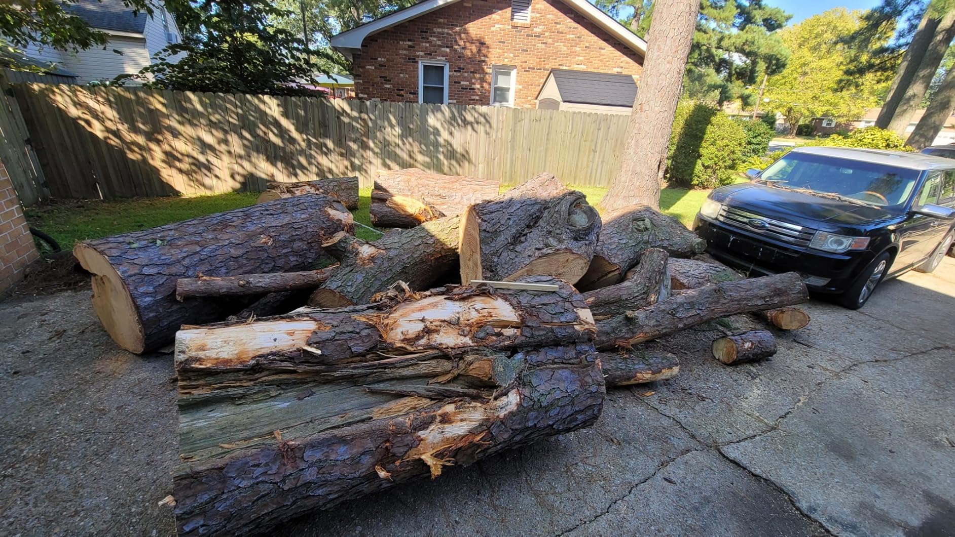 PROYAMA 62CC 2-Cycle Gas Powered Chainsaw, 22 Inch 18 Inch Handheld Cordless Petrol Chain Saw for Tree Wood Cutting customer photo 1