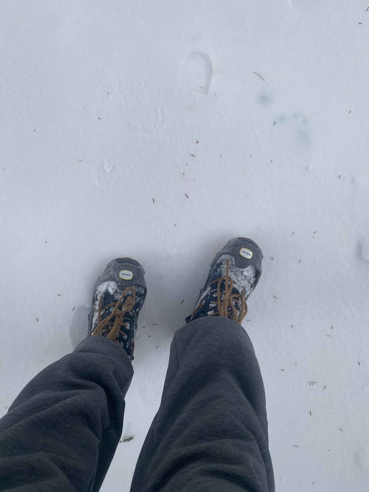 ICETRAX V3 Tungsten Crampons, Ice Cleats for Shoes and Boots - Ice Grips for Snow and Ice, Non-Slip Shoe Grippers with Reflective Heel customer photo 1