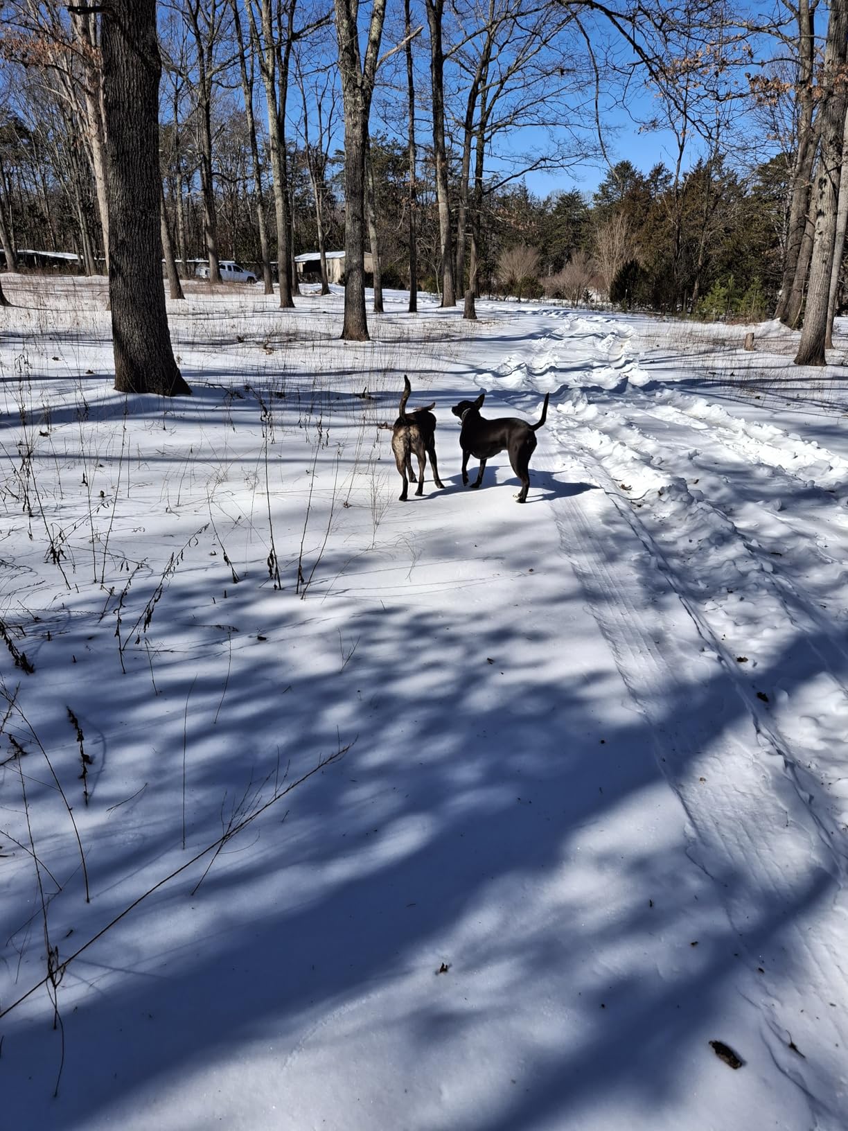 AGOOL Ice Cleats Snow Traction Cleats Crampon for Walking on Snow and Ice Non-Slip Overshoe Rubber Anti Slip Crampons Slip-on Stretch Footwear customer photo 1