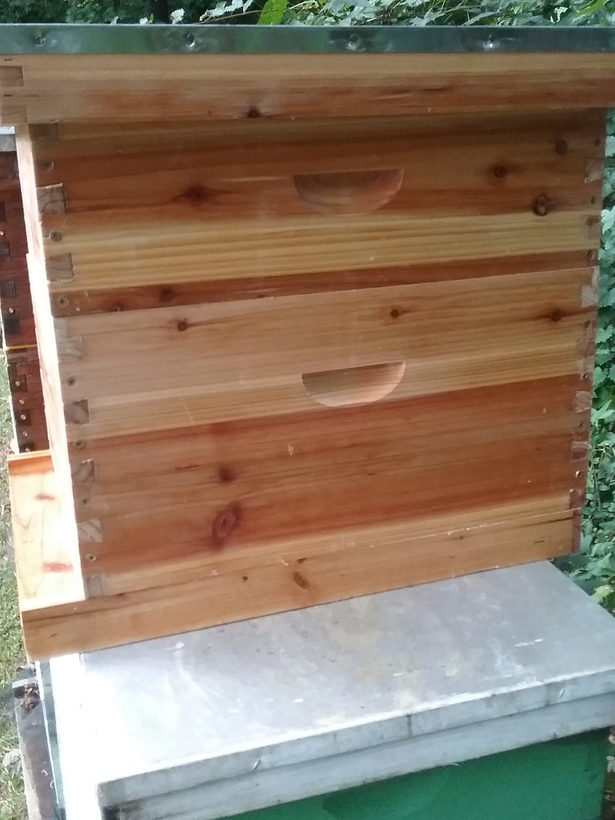 BeeCastle 10-Frames Complete Beehive Kit, 100% Beeswax Coated Bee Hive Includes Beehive Frames and Beeswax Coated Foundation Sheet (2 Layer) customer photo 1