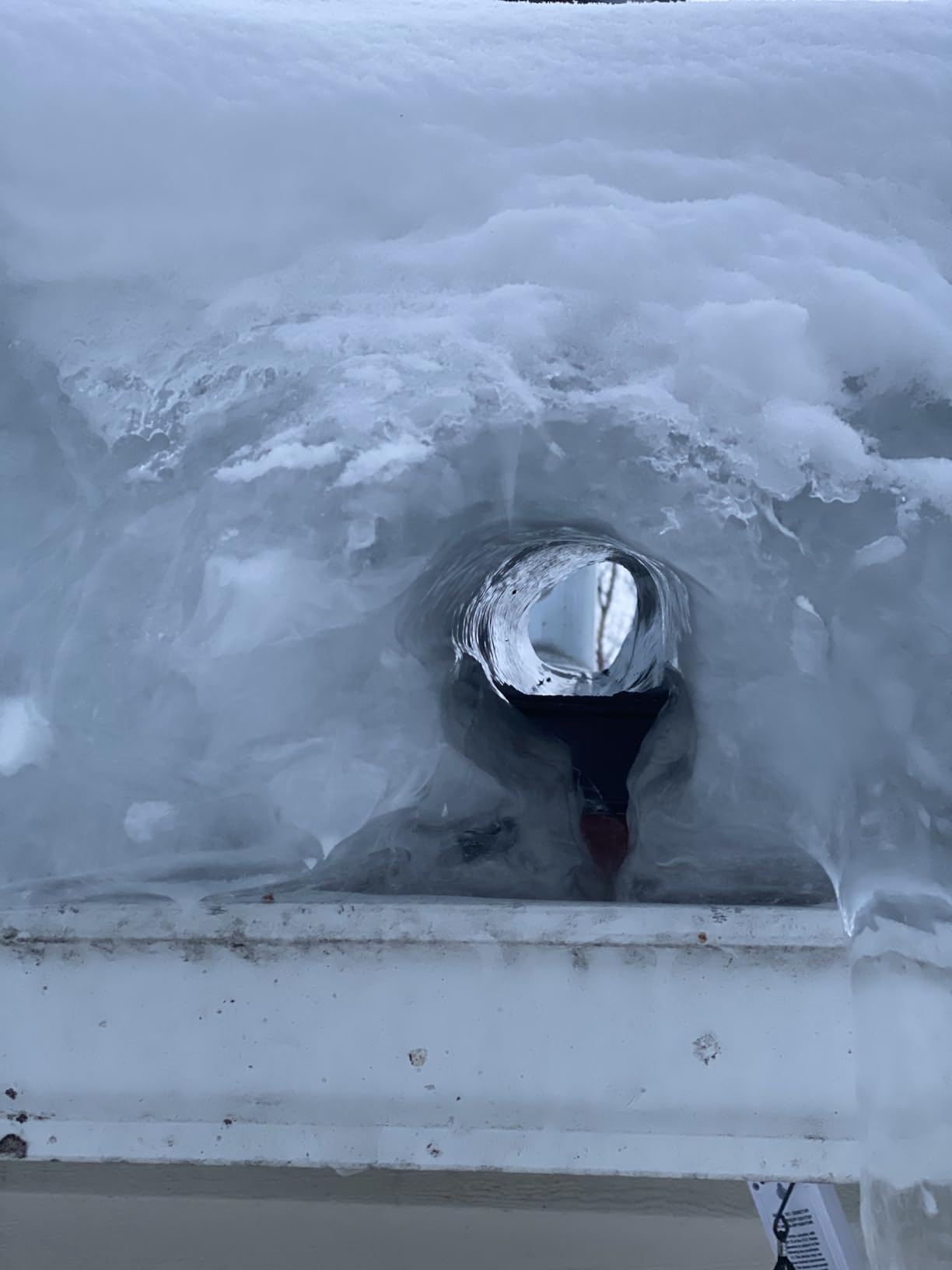 Amazon Basics Electric Kettle with Glass Carafe for Tea and Coffee, Fast Boiling, Auto Shut-Off, Boil-Dry Protection, Temperature Control, Removable Filter, 1 Liter, 1500W, BPA-Free customer photo 1