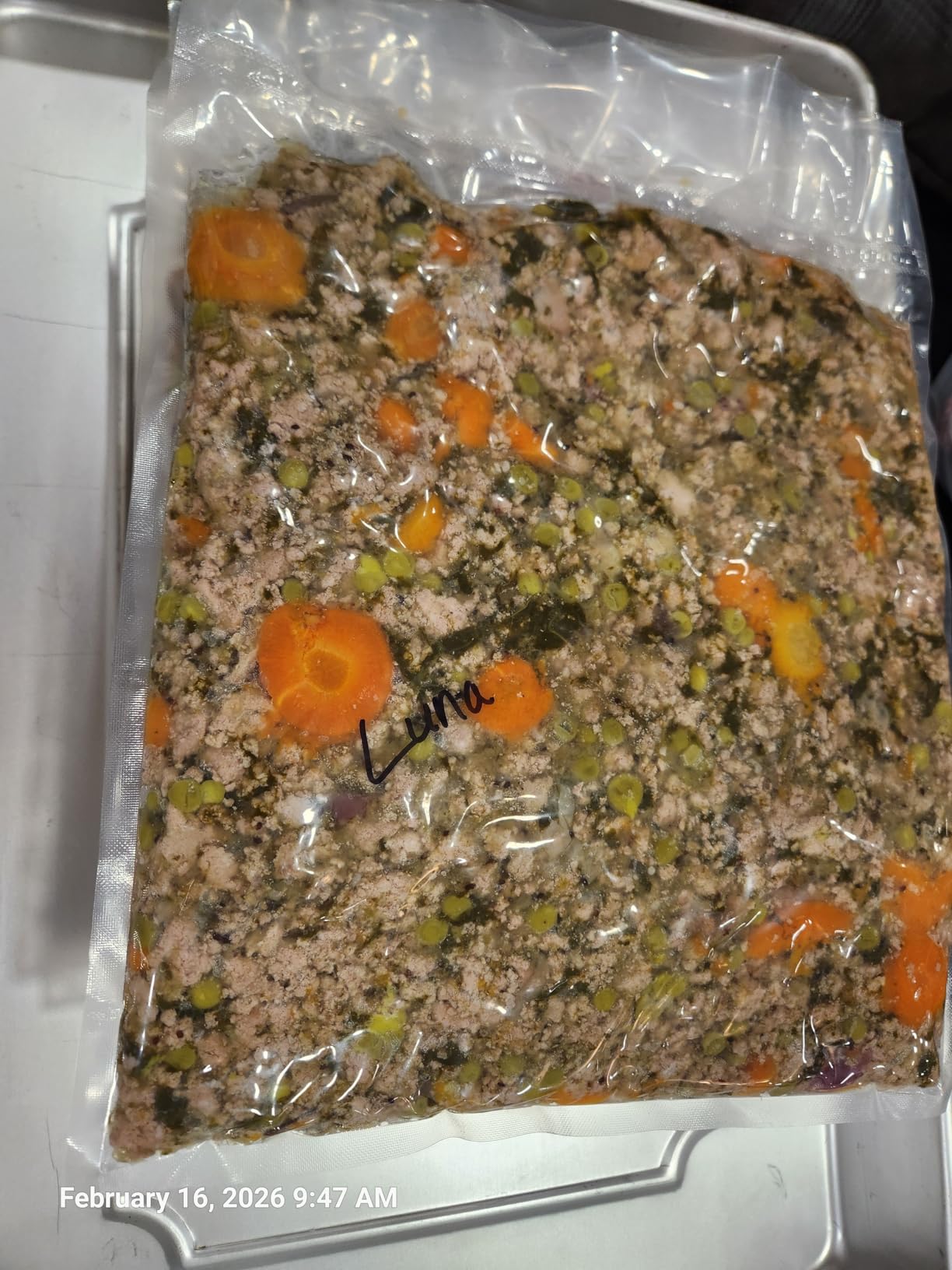 Vacmaster VP230 Chamber Vacuum Sealer customer photo 1