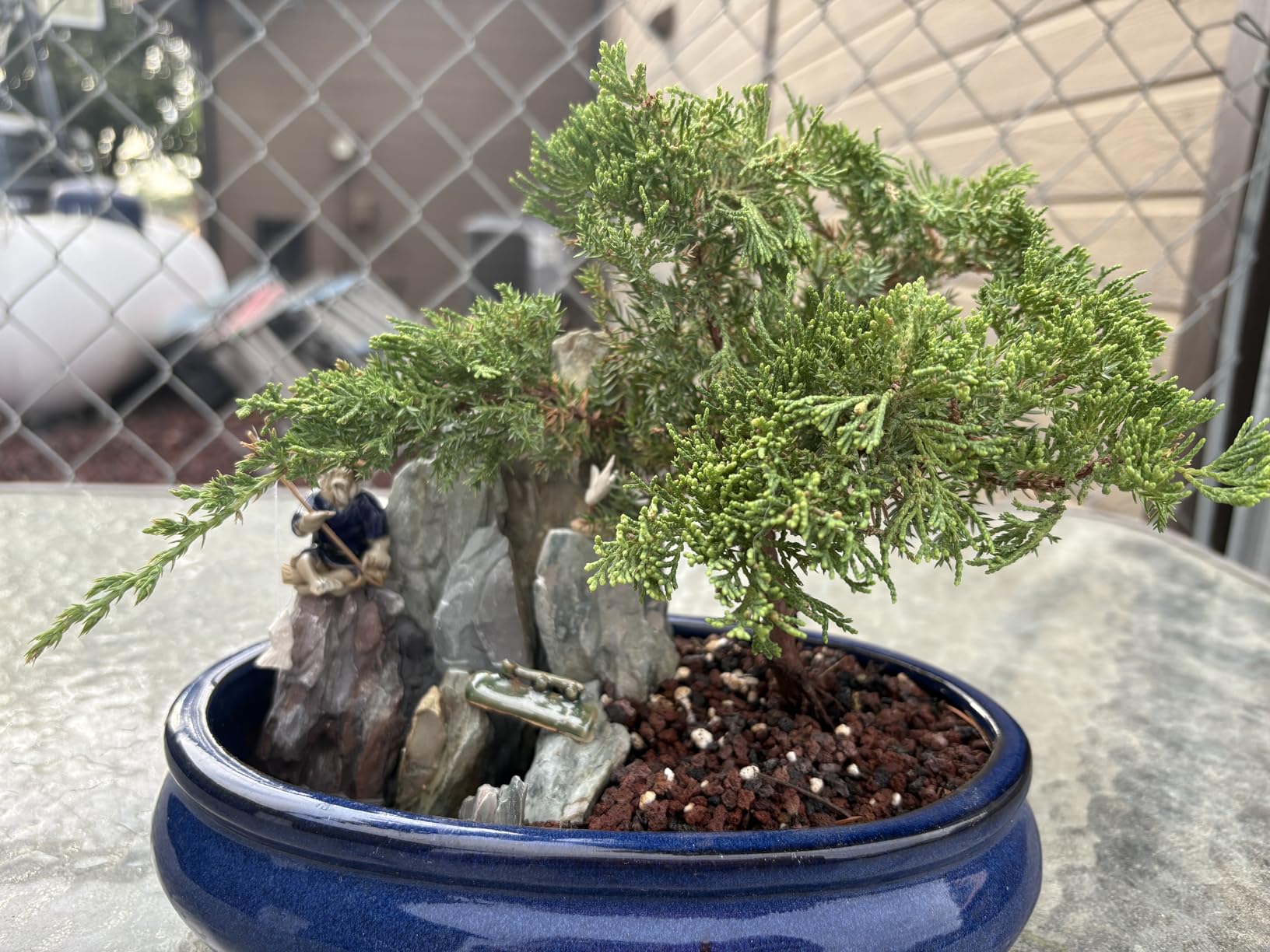 Mudder 5 Roll Aluminum Bonsai Training Wire Tree 160 Feet Total with Bonsai Wire Cutter Anodized Training for Holding Branches Small Trunks(1/1.5/2.0mm,Classic) customer photo 1