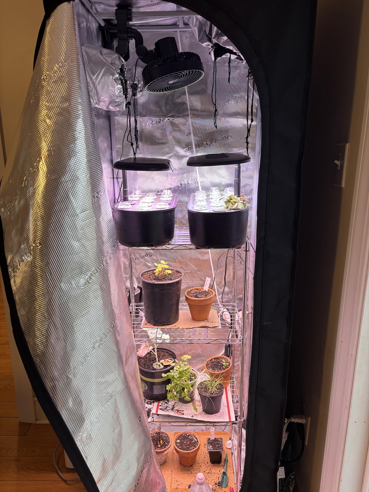 Spider Farmer 4.6x2.3 Grow Tent 55