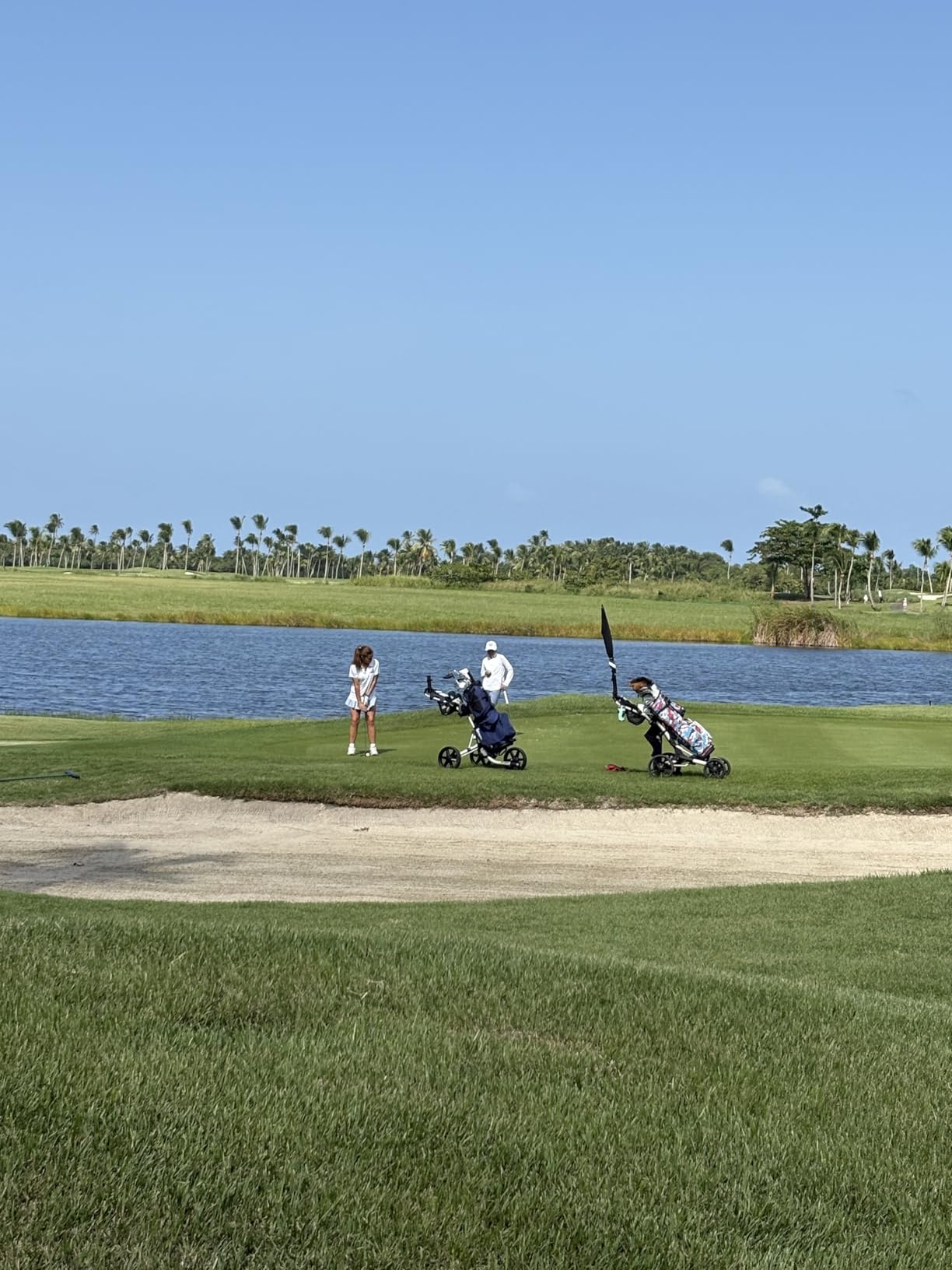 Clicgear Model 4.0 Golf Push Cart, 3-Wheel Foldable Walking Golf Cart customer photo 1