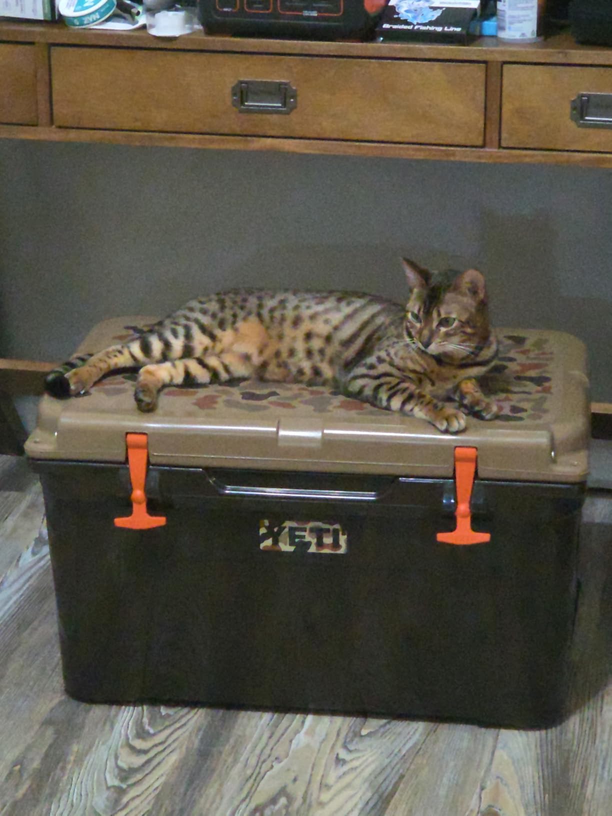 YETI Tundra 45 Cooler customer photo 2