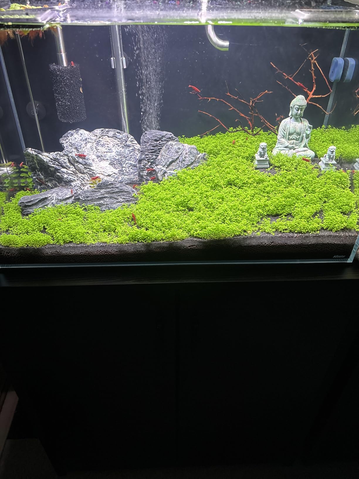 ADA Aqua Soil Amazonia Ver 2 (9L) customer photo 2