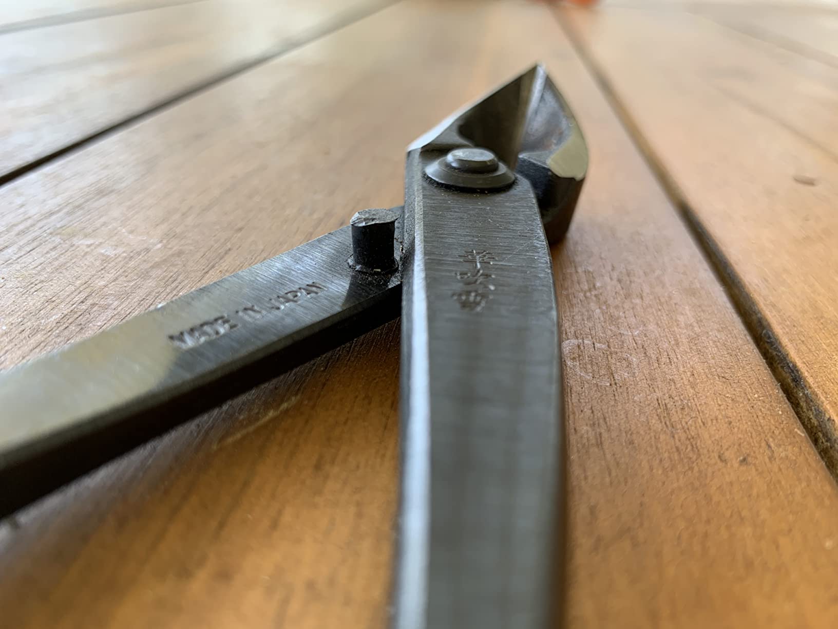 Wazakura Hand Forged Bonsai Concave Branch Cutter, Made in Japan 8 inch (200mm), Japanese Gardening Tools, Straight Edge Black customer photo 2